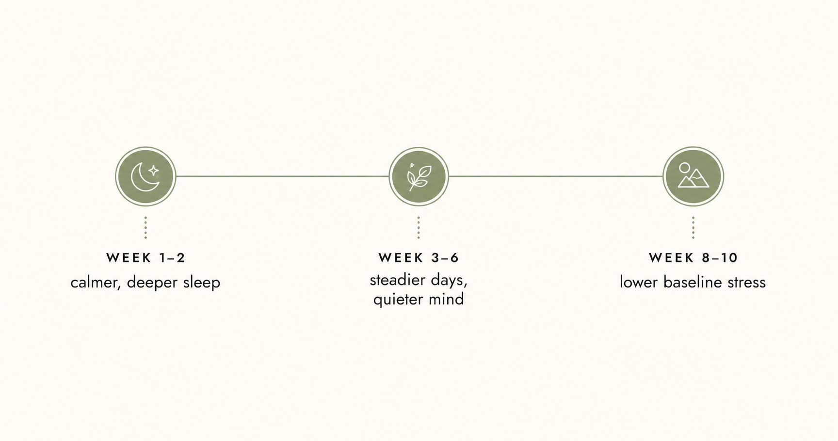 Timeline: week 1-2 calmer deeper sleep, week 3-6 steadier days, week 8-10 lower baseline stress